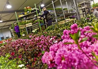 Emploi : le « ventre » de Toulouse se dote d'une permanence