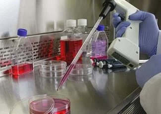 Cayla-InvivoGen : des chercheurs réactifs pour produits actifs