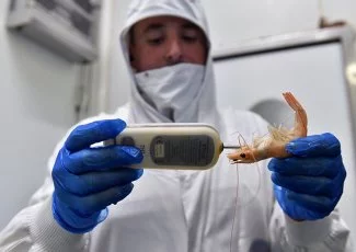 En images : Crusta C, le bonheur est dans la crevette