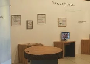 Une exposition sur la plante idéale à l'Espace EDF Bazacle