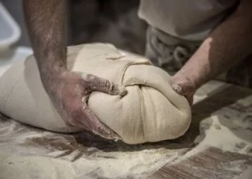 Occitanie. Pour la Banque de France, la croissance économique est au rendez-vous, mais pas les embauches 