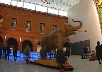 Tourisme : les sites toulousains à l'heure des comptes