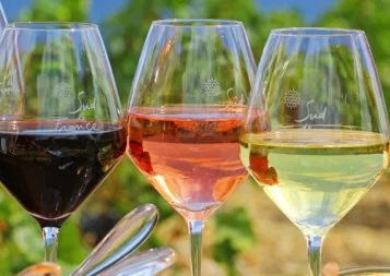 Les vins du Languedoc-Roussillon privés de la marque Sud de France 