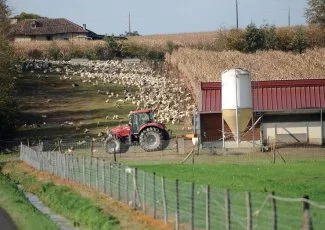 Énergie. Dans l'agro-alimentaire, les entreprises anticipent et négocient