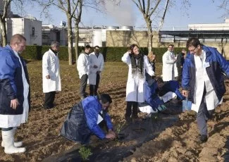 A Gaillac, A-Derma amplifie sa démarche de compensation carbone