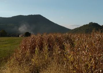 Dossier - Midi-Pyrénées du champ à l'assiette : les graines qui montent - 1ère partie