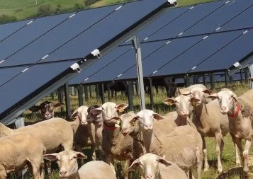 Le premier parc solaire midi-pyrénéen 100% citoyen est sur les rails