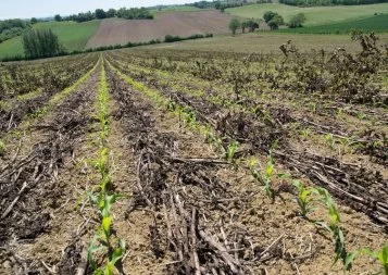 Agriculture durable : Midi-Pyrénées innove