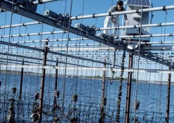 Avec le Comité Riquet, des entreprises s'unissent pour promouvoir l'art de vivre occitan