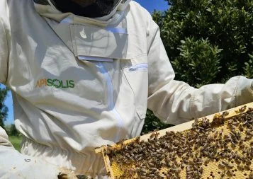 Accompagnée par Syselec, Apisolis espère faire son miel avec son enfumoir écologique 