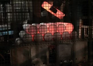 Dans la rougeur des Forges de Tarbes