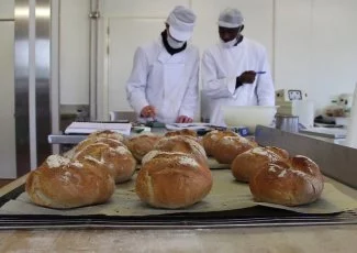 Des formations pour tous les goûts au menu de l'Ifria Occitanie !
