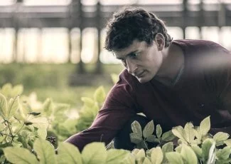 France Ginseng lance la première filière ginseng française dans le sud-ouest