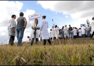 Sanofi : Un arbre pour « enraciner » le site toulousain