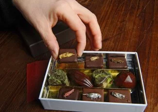 Toulouse. Micronutris lance sa première ligne de biscuits à base d'insectes