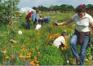 « Et si on jardinait... », une exposition itinérante sur le jardin