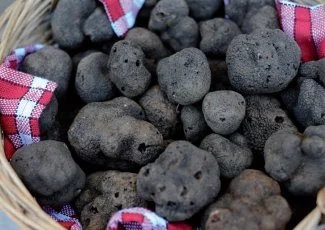 Le diamant noir, un produit rare contrôlé