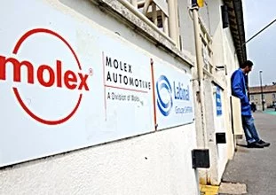 Usine Molex : bonne pour le service