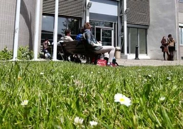 Comment Smart Career contribue-t-elle à l'insertion des jeunes diplômés ?