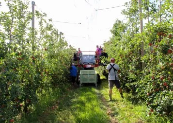 En Occitanie, Blue Whale crée un consortium pour régénérer la filière fruit 