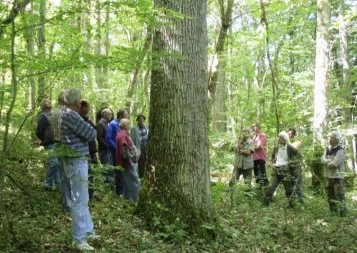 Première Journée Internationale de la Forêt en Midi-Pyrénées