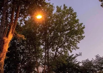 Face à la crise énergétique, les communes s'organisent