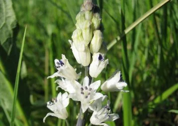 Biotope, profession : biodiversité