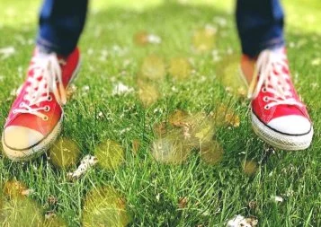 Chaussez-vos baskets, le Markethon de l'emploi va bientôt démarrer !