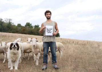 Ariège. Pour Laines Paysannes, la toison d'or est locale