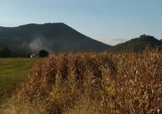 Dossier - Midi-Pyrénées du champ à l'assiette : les graines qui montent - 1ère partie