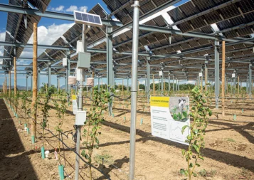 La Tech au chevet de l'urgence climatique
