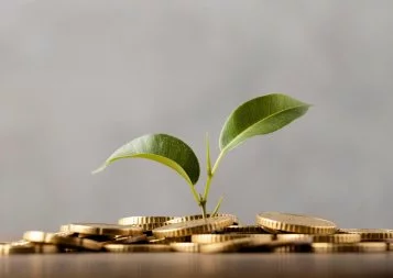  En 2024, le financement des jeunes pousses est resté vivace en Occitanie 