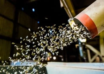Chez Arterris, l'emploi saisonnier peut durer toute l'année !
