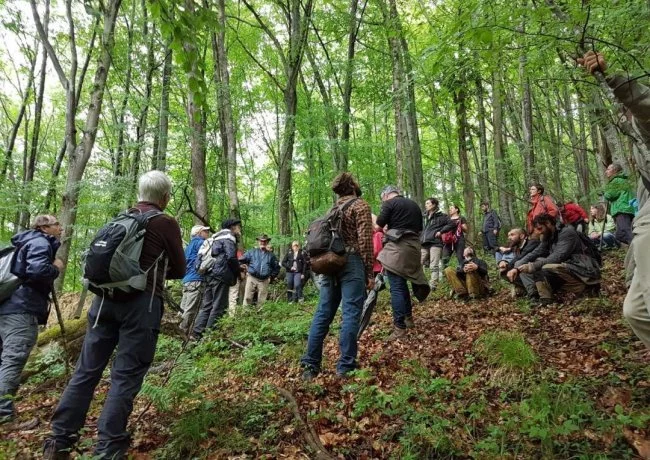 Projet de scierie à Lannemezan : en hêtre ou pas ? - ToulÉco Green