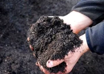 L'économie circulaire prend racine en Midi-Pyrénées
