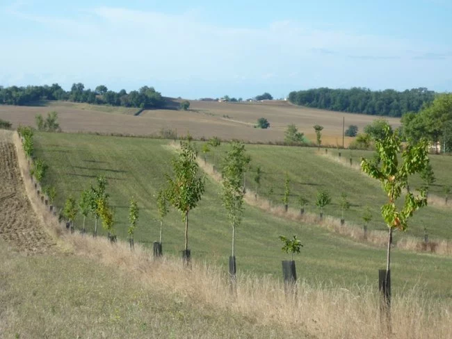 Actus Occitanie - %##23@