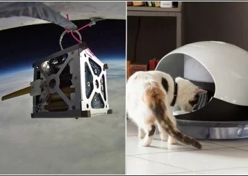 Toulouse. EarthCube et Catspad remportent le concours Start me up