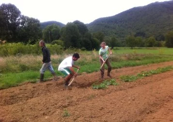 Les défis de la filière bio en Midi-Pyrénées 