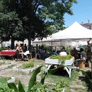 Actus Occitanie - %##23@