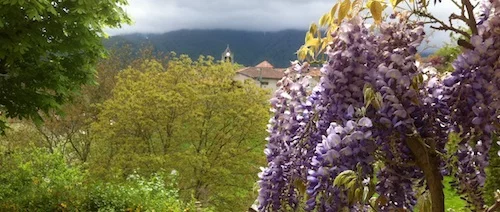 Actus Occitanie - %##23@