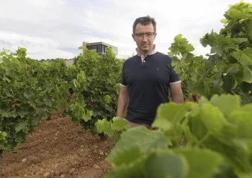 Pour Jean-Marie Fabre, vigneron à Fitou, « les aléas sont devenus la norme de notre métier »