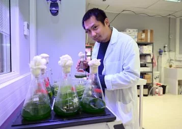 Kyanos Biotechnologies lève 2,6 millions d'euros pour ses algues bleues