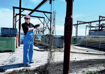 Réchauffement climatique, à l'étang de Thau : « On dispose de leviers pour s'adapter »