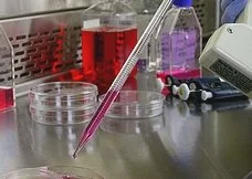 Santé : les PME à suivre pour 2009