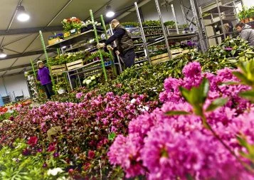 Emploi : le « ventre » de Toulouse se dote d'une permanence
