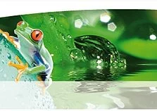 Rencontres autour de l'Eau à Montauban, le 23 septembre