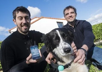 Depuis Toulouse, Canhegat invente un collier connecté dédié aux chats et aux chiens