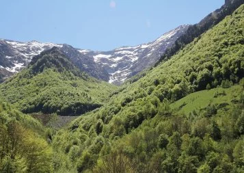 En Ariège, la société Néométal en quête d'or et de tungstène - enquête 1/2
