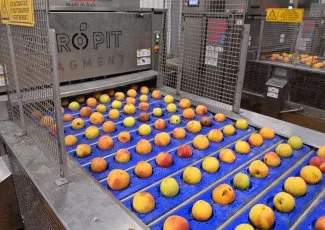 Agromousquetaires investit 8 millions d'euros dans l'usine de St Mamet à Vauvert