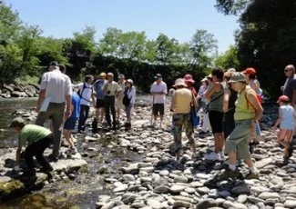 La reconquête de la Garonne déclarée projet d'Etat